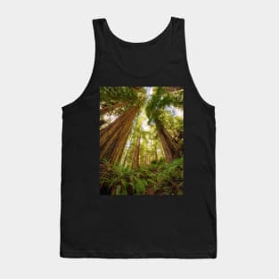 Redwood Forest Tank Top